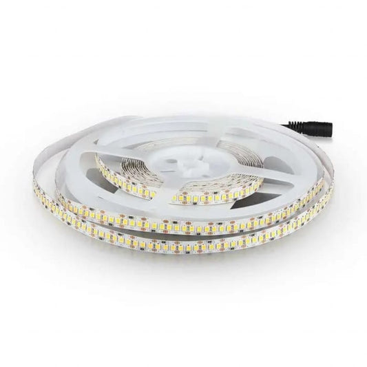 LED Strip SMD2835 204 LEDs 6400K IP20