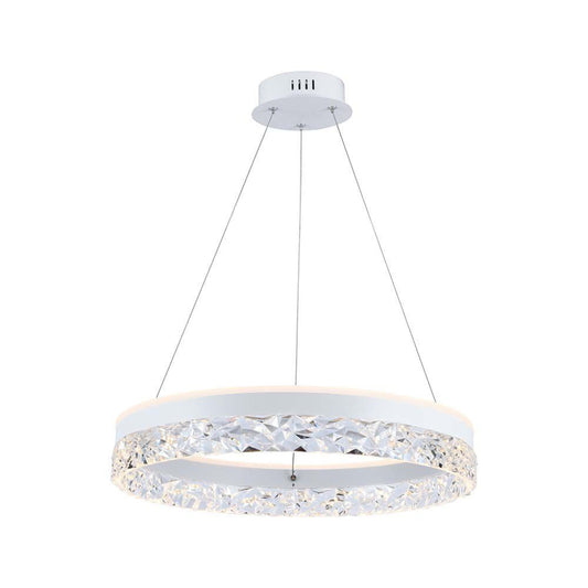 25W LED Designer Hanging Lamp Single Ring 3000K White Body