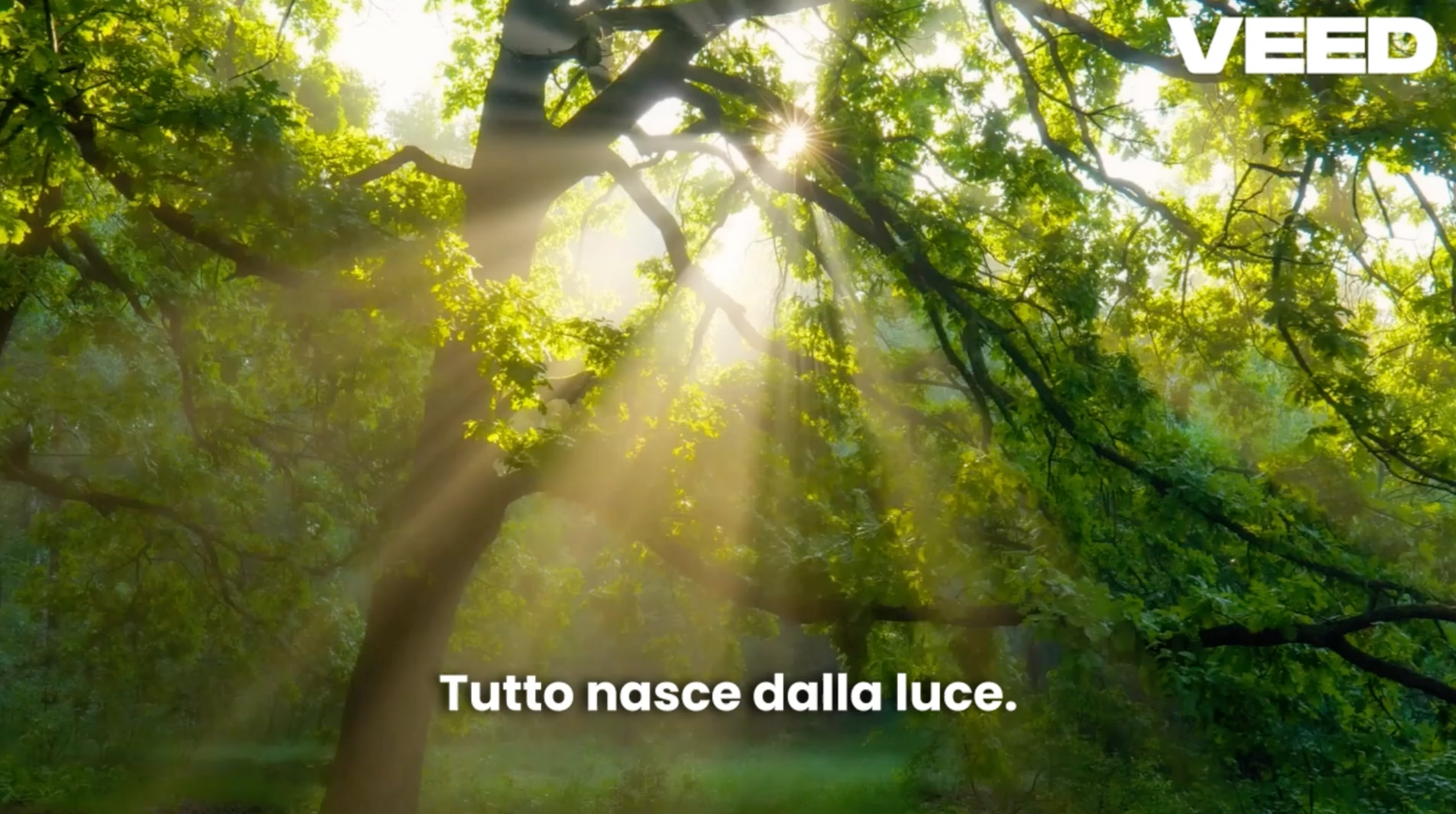 Carica video: 
